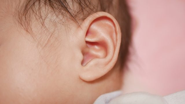 赤ちゃんの耳